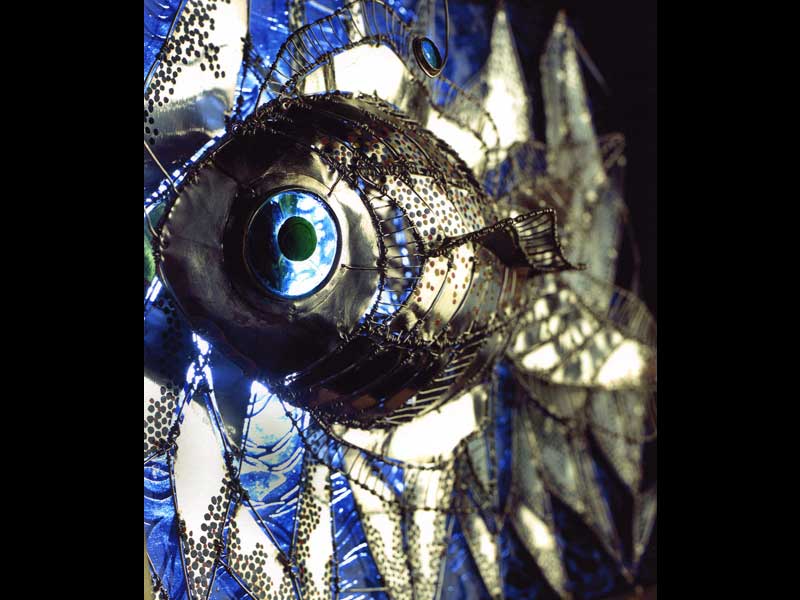 Blue fish image