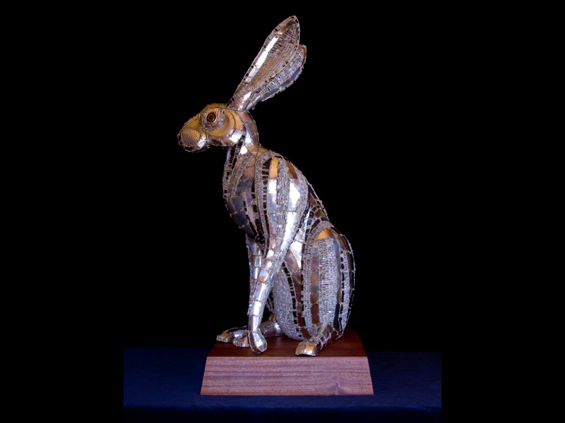 hare image