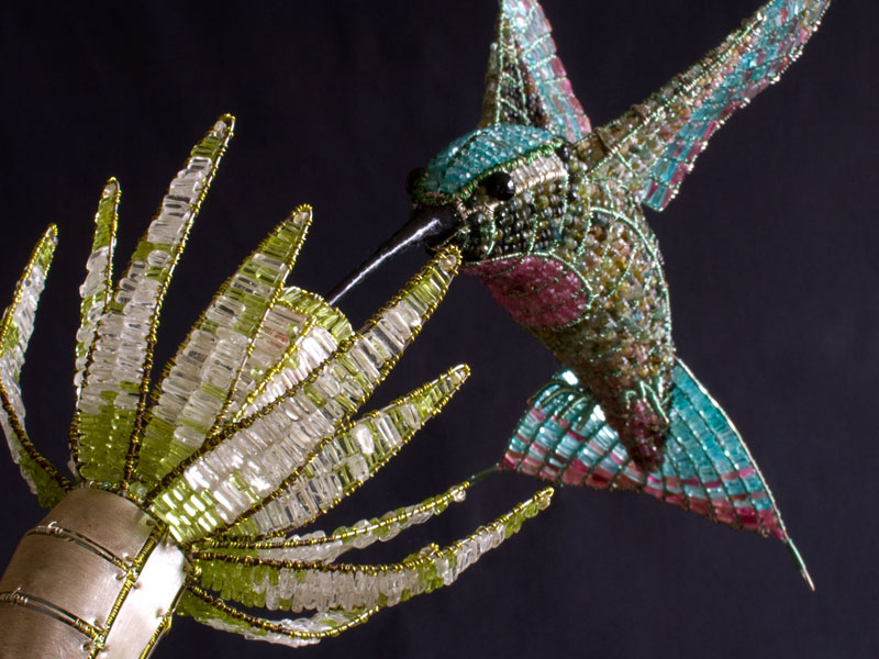 Humming bird image